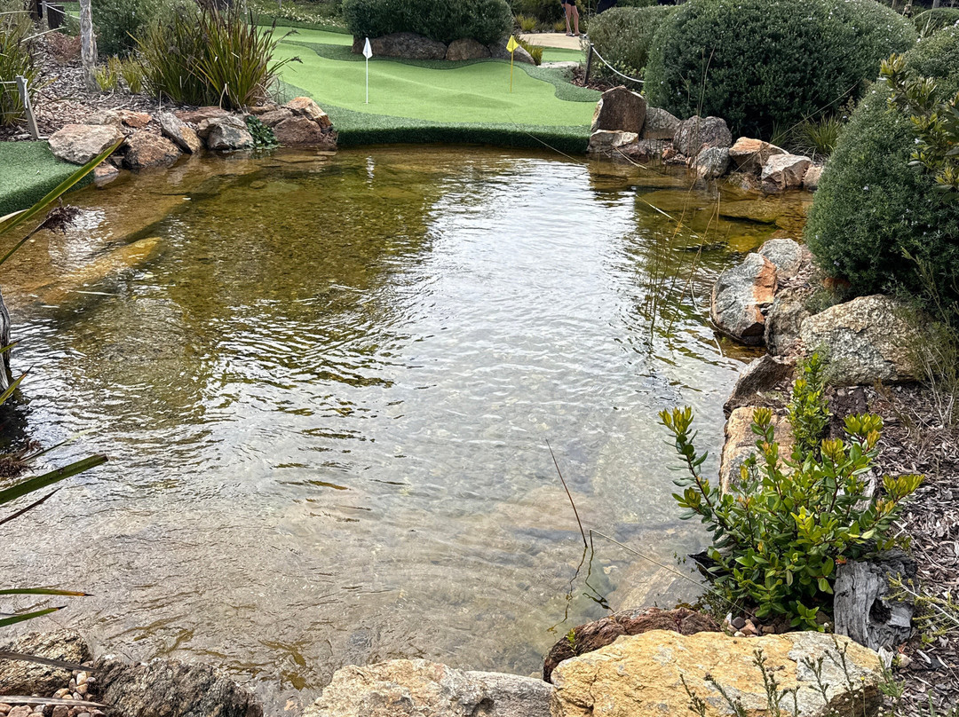 Yallingup Maze & Mini Golf-雅林角必去景点