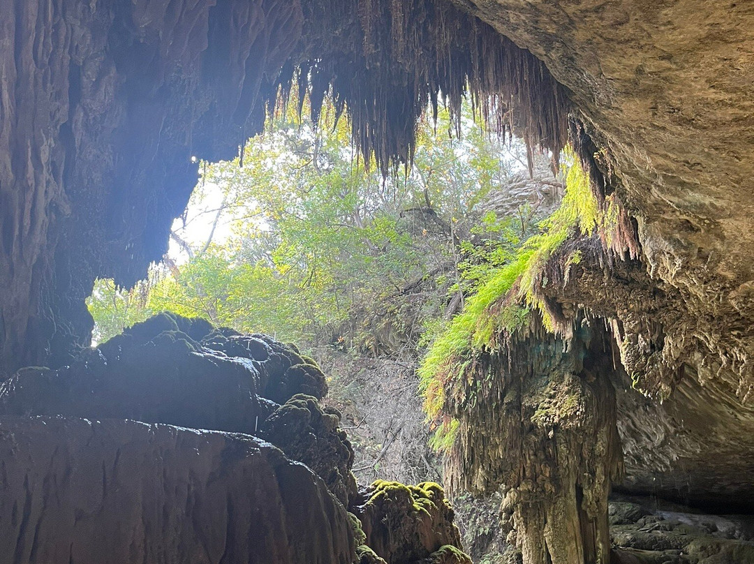 Westcave Outdoor Discovery Center-奥斯丁必去景点