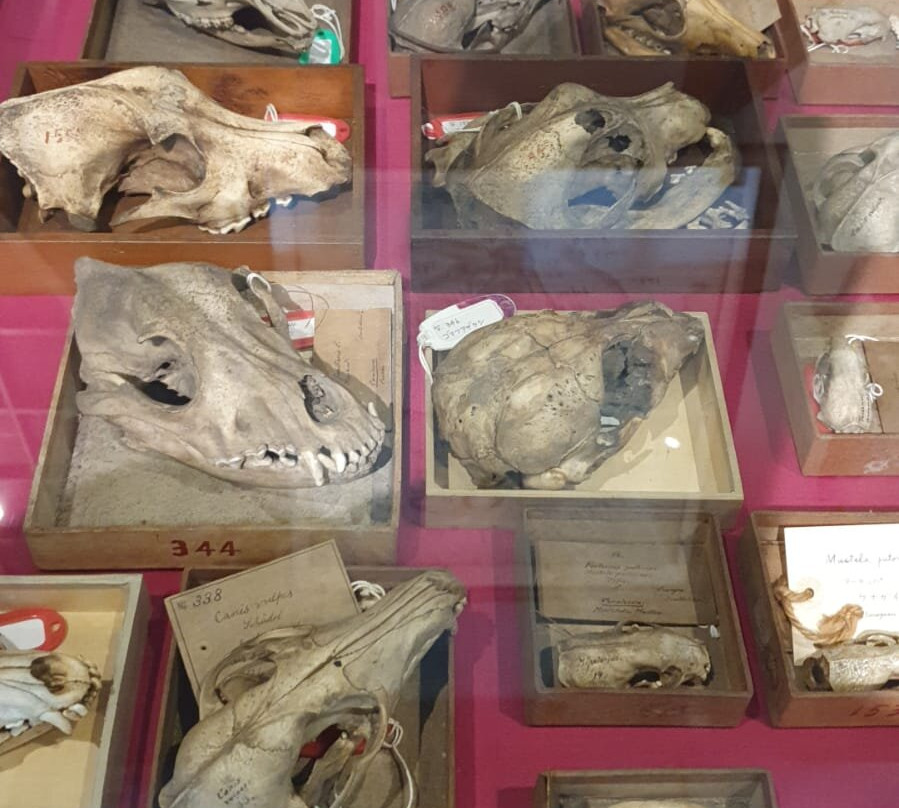 JP Tower Museum Intermediatheque-Marunouchi必去景点
