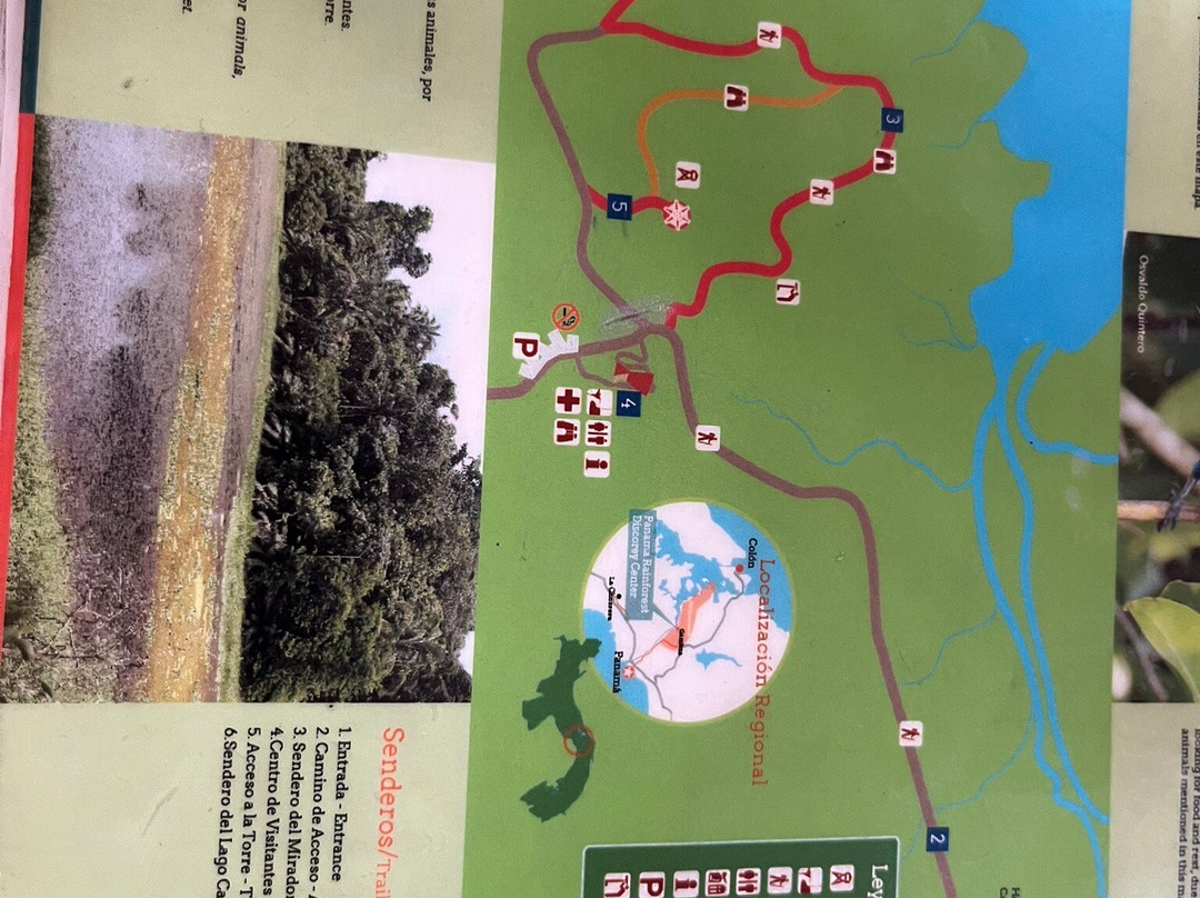 Panama Rainforest Discovery Center-甘博阿必去景点