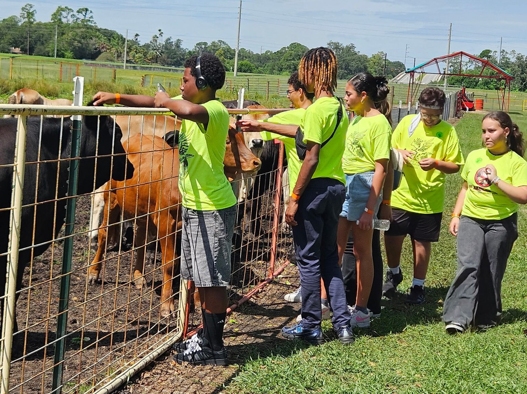 Green Meadows Petting Farm-基西米必去景点