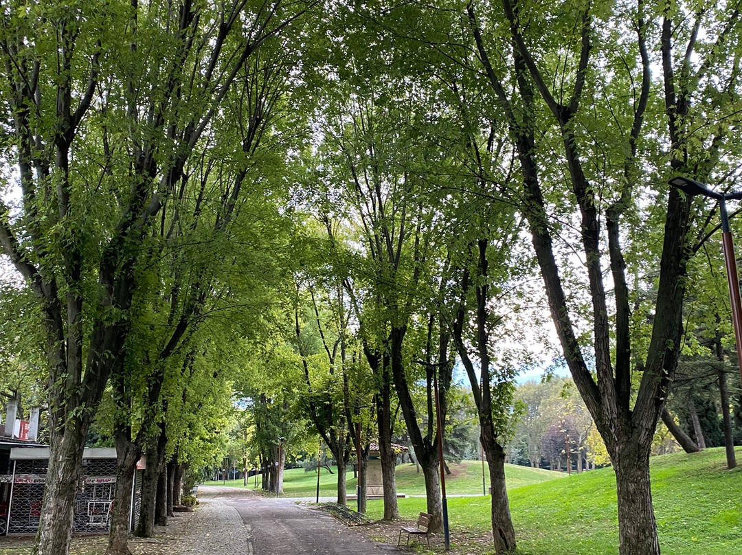 Soğanlı Botanik Parkı-布尔萨必去景点