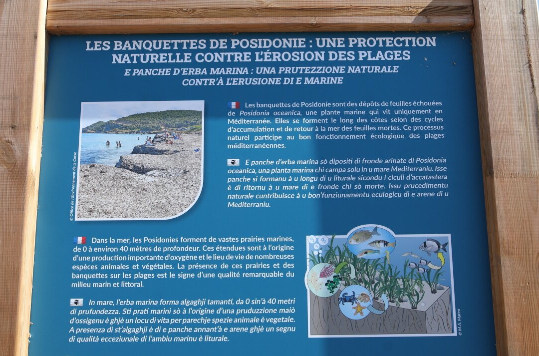 Plage de Focaghia-Girolata必去景点