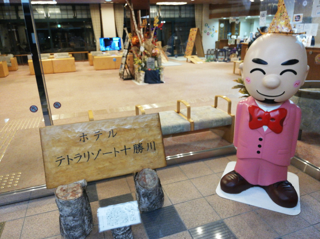 十胜川Tetora度假酒店主图