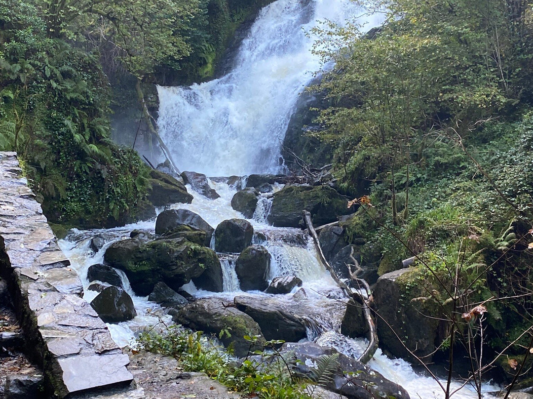 Connect the Dots Tours of Ireland-都柏林必去景点