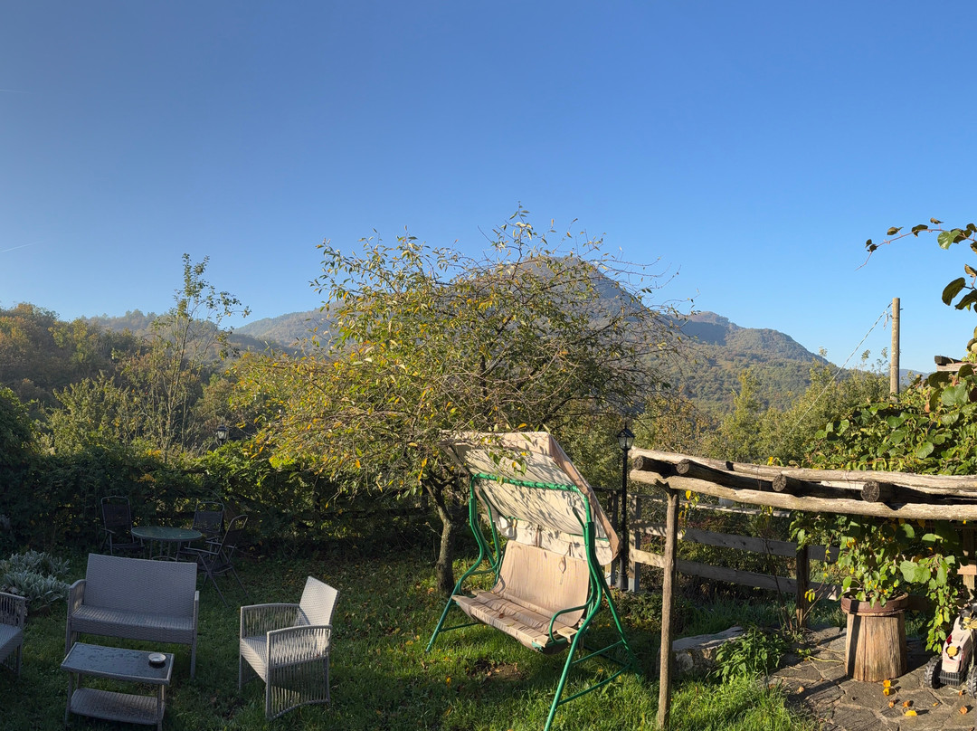Azienda Agrituristica Risveglio Naturale主图