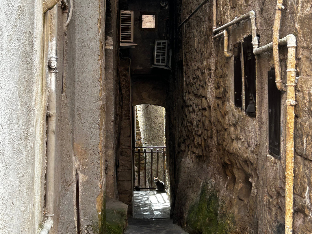 Borgo Medievale-San Gregorio da Sassola必去景点