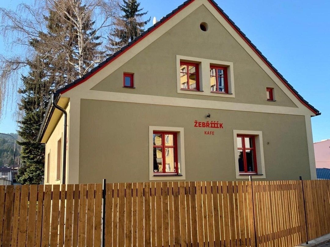 Zebrik Postel Susice