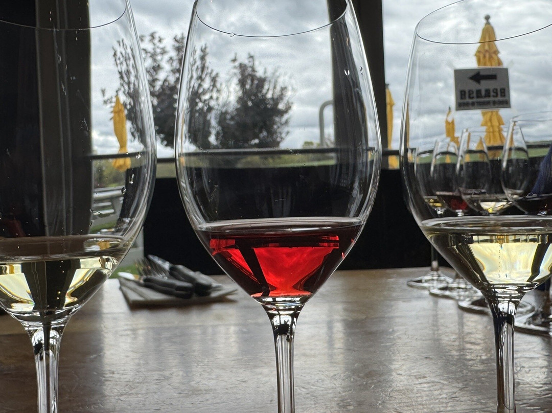 Sheldrake Point Winery-Ovid必去景点