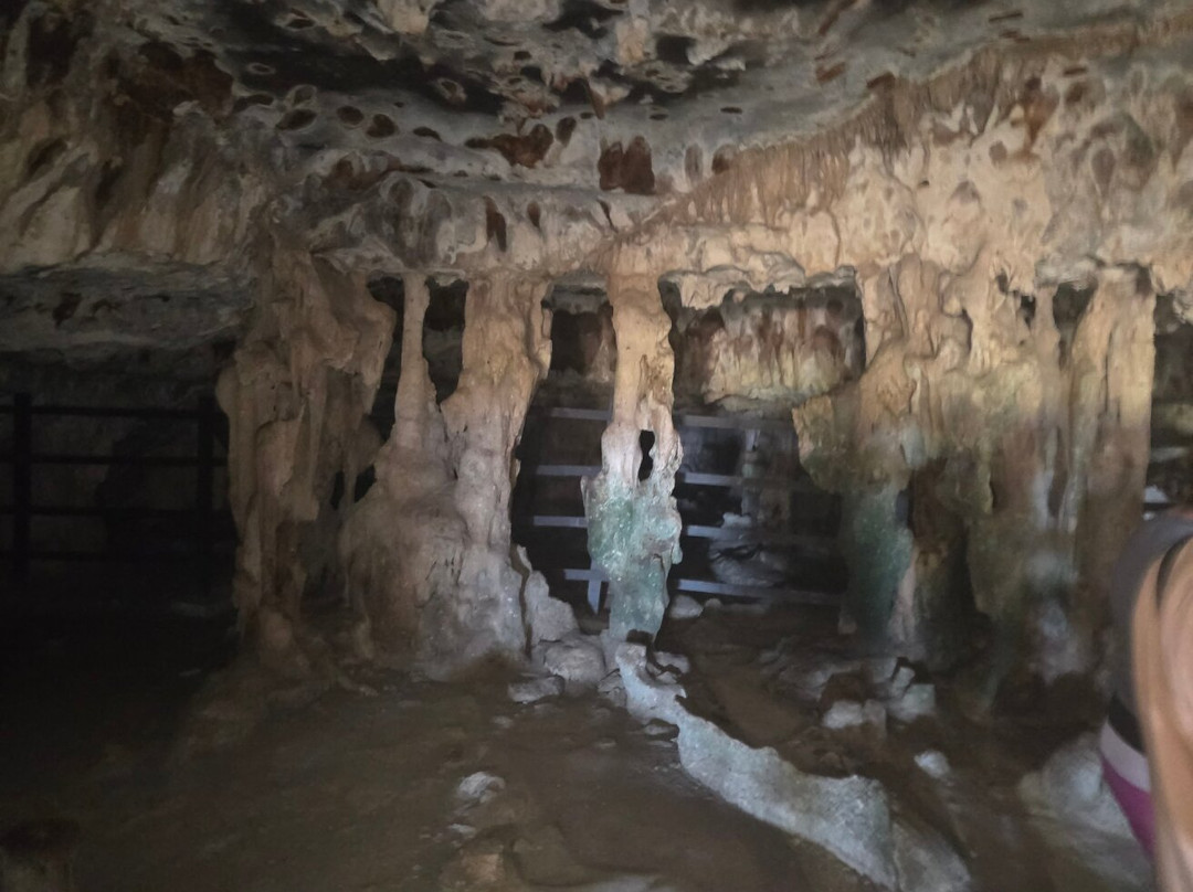 De Palm Tours-奥腊涅斯塔德必去景点