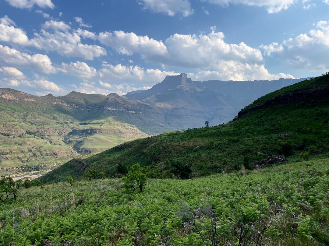 Thendele Hutted camp主图