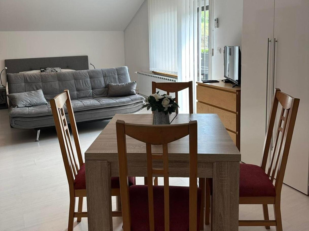 Apartmaji Scavnicar
