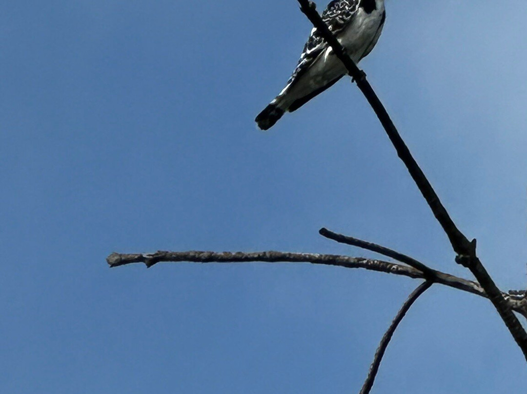 Gambia Kayaking-Tanji必去景点