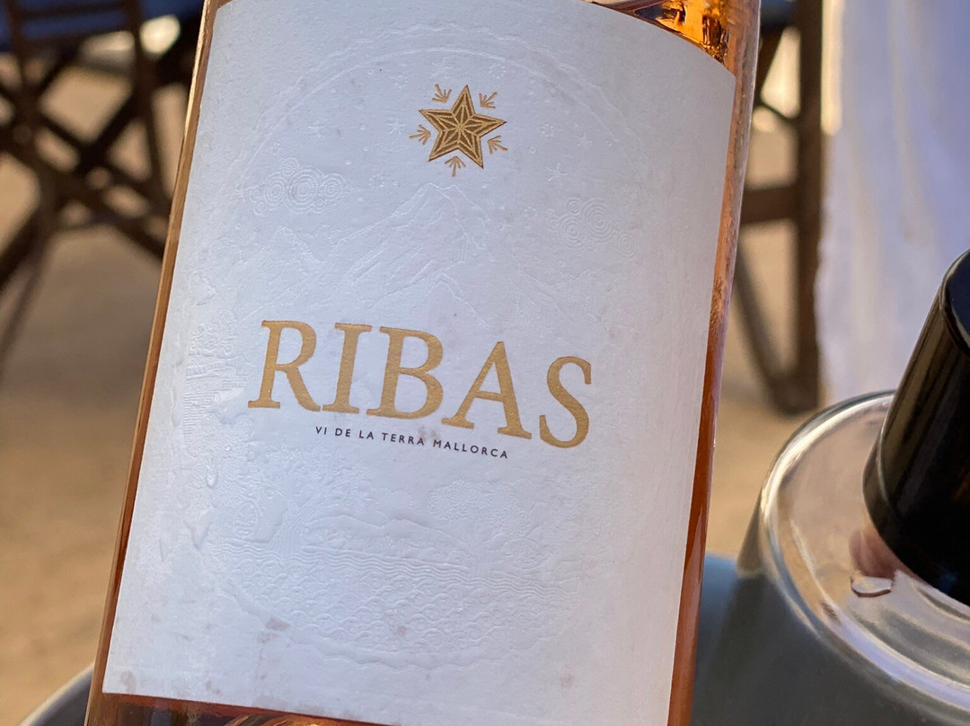 Bodega Ribas-Consell必去景点