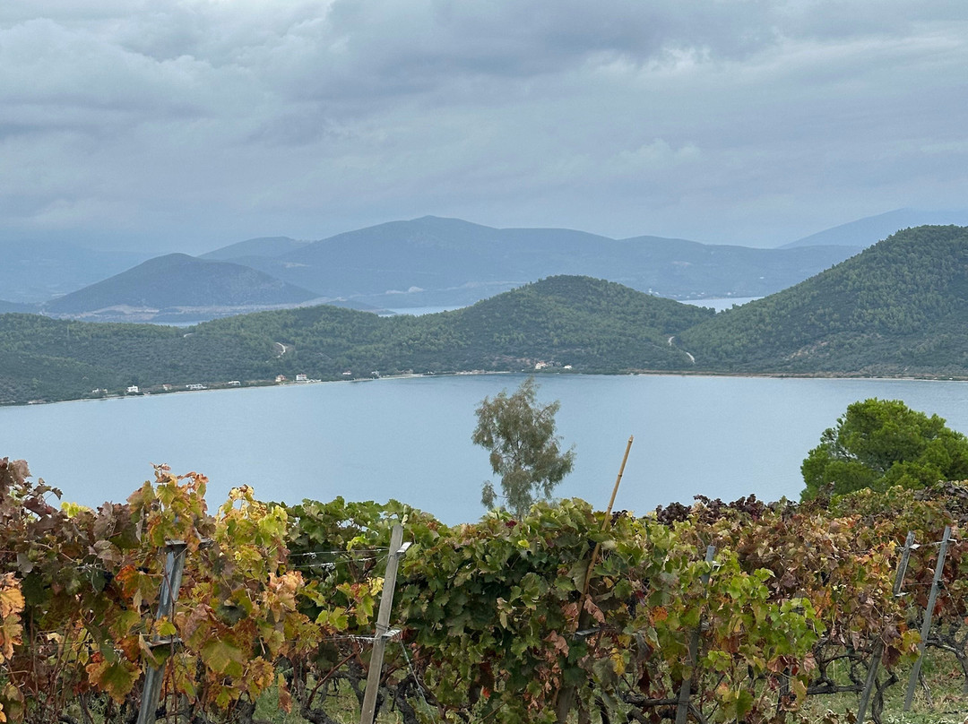 Vriniotis Winery-Edipsos必去景点