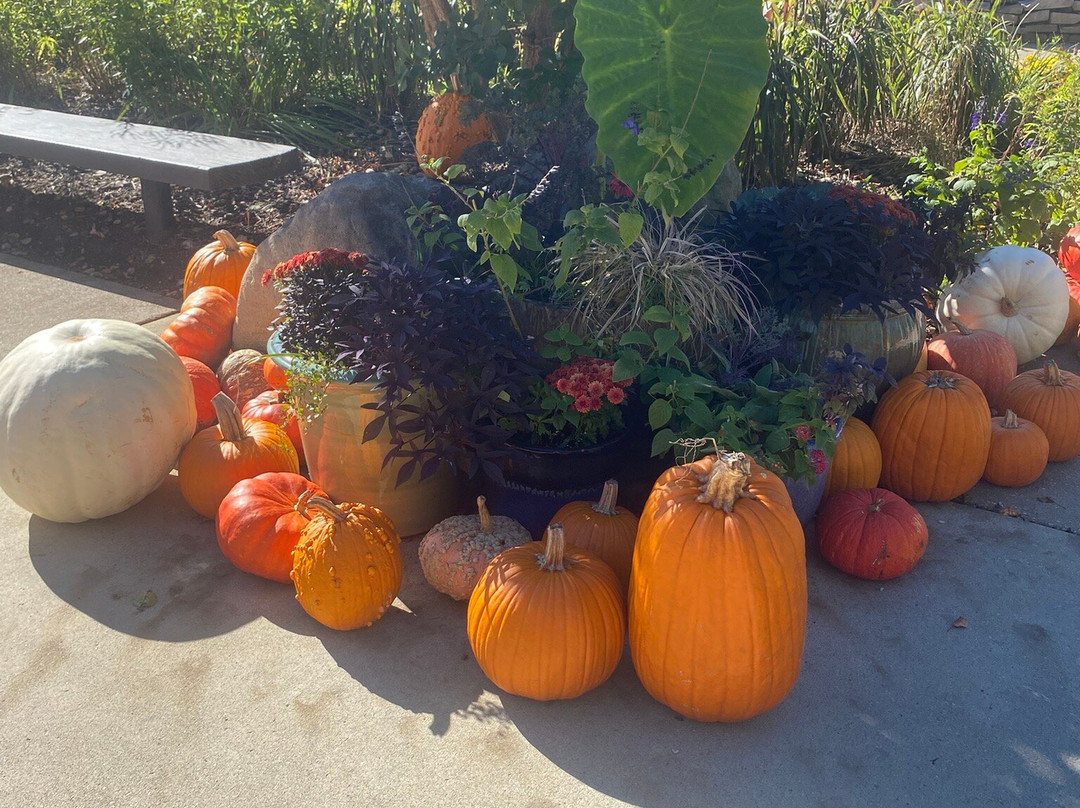 Oliver Winery-布卢明顿必去景点