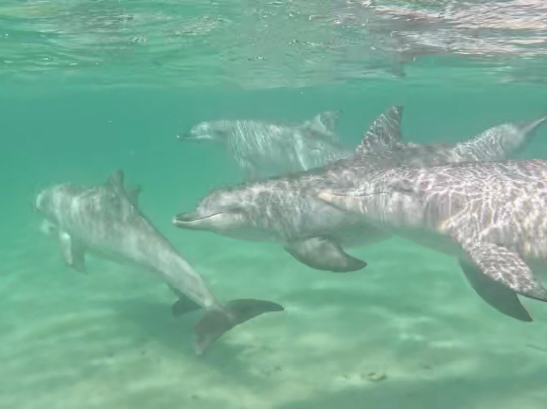 Sunset Charters-哥芬湾必去景点