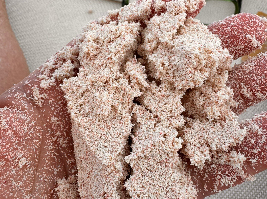 French Leave Beach-Governor's Harbour必去景点