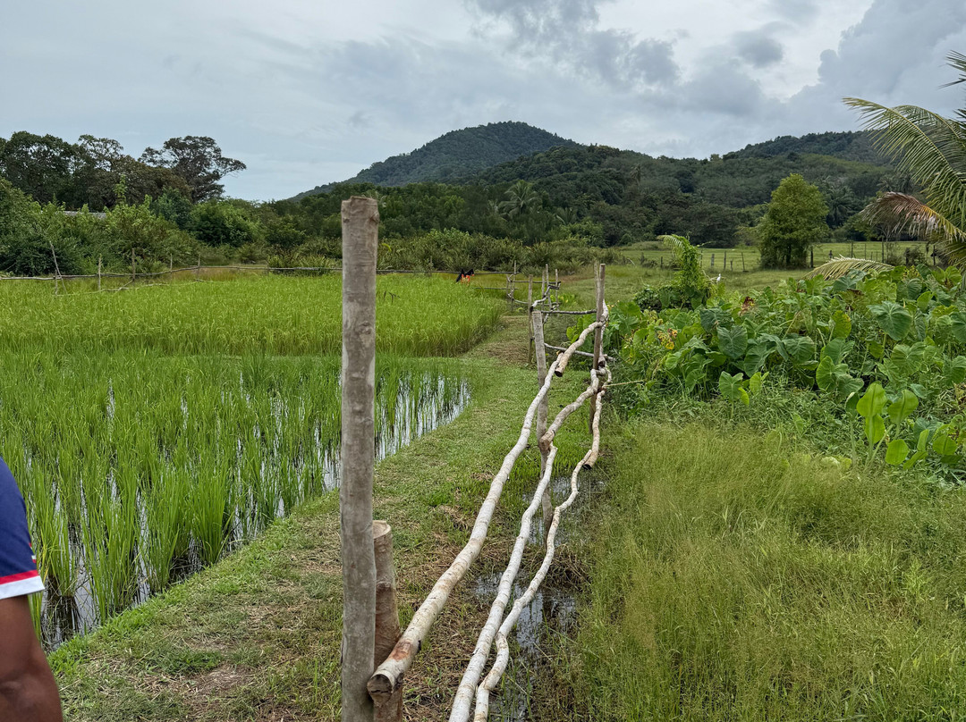 Our Magical Thailand-阁耀亚伊岛必去景点