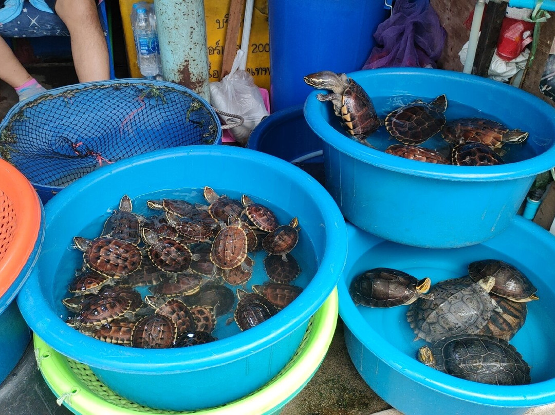 孔堤集市-曼谷必去景点