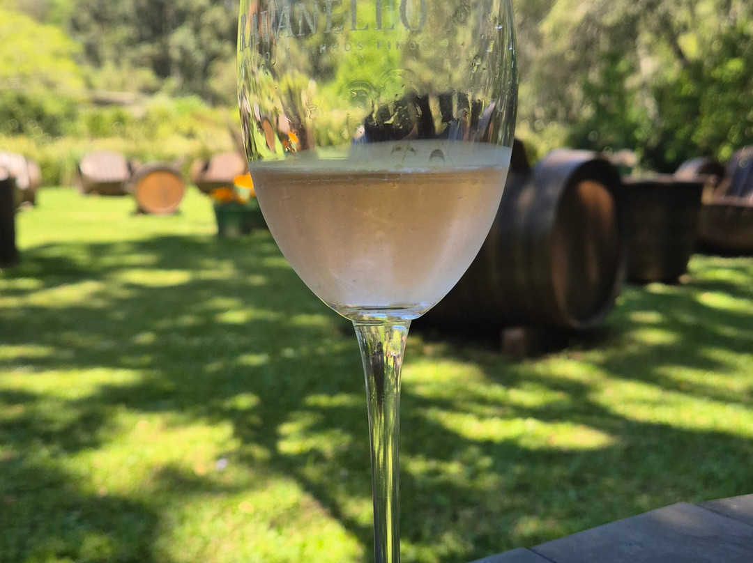 Vinícola Ravanello-格拉玛多必去景点