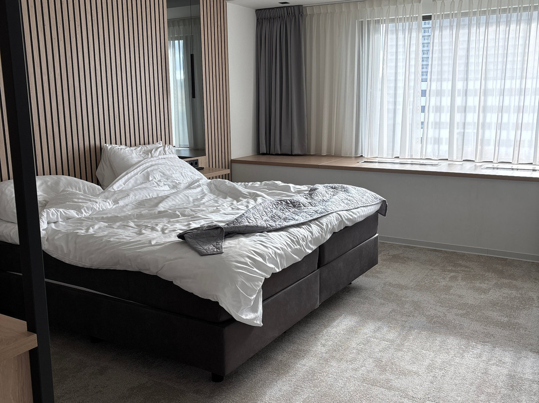 Hotel de Rousch主图