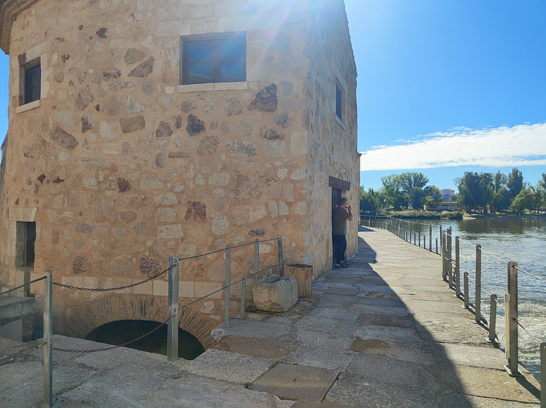 Aceñas de Olivares-萨莫拉必去景点