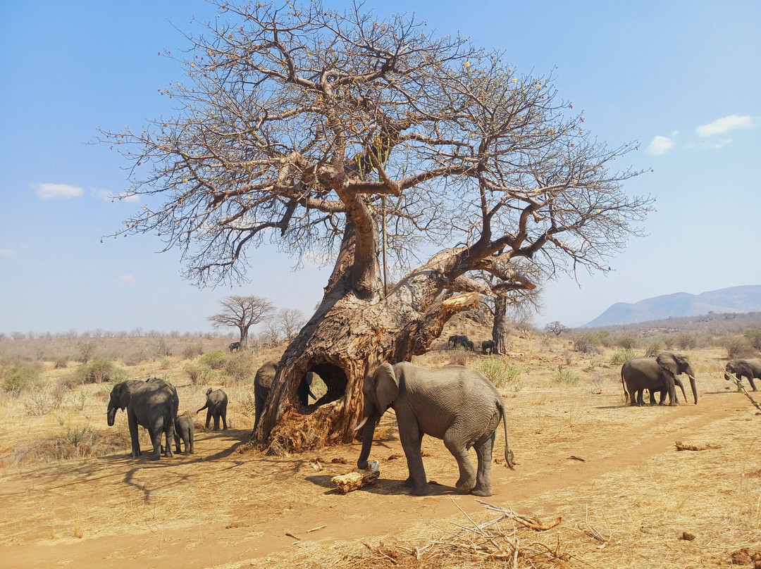 Sam safari & tours-Iringa必去景点