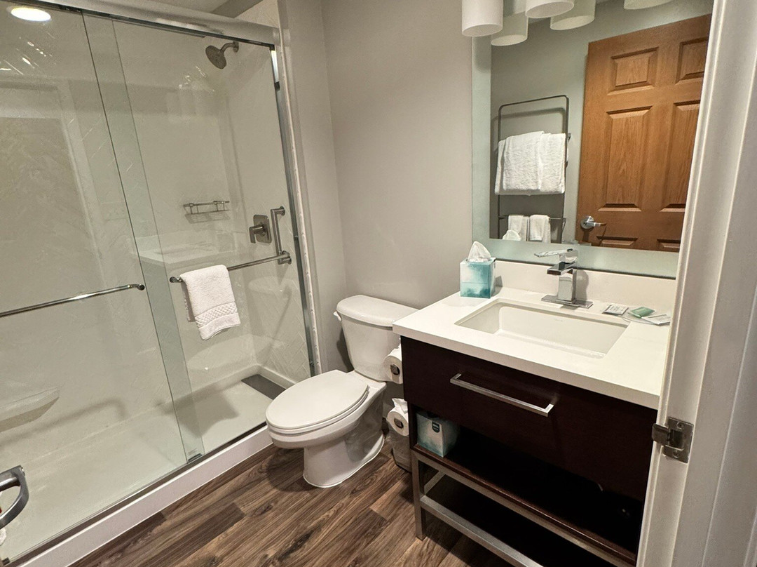 TownePlace Suites by Marriott Chicago Lombard主图