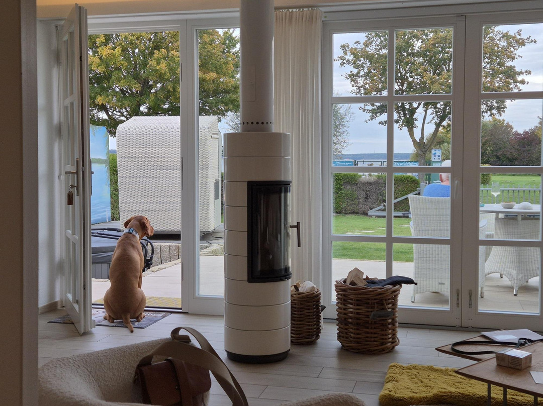 Fleesensee Resort & Spa主图