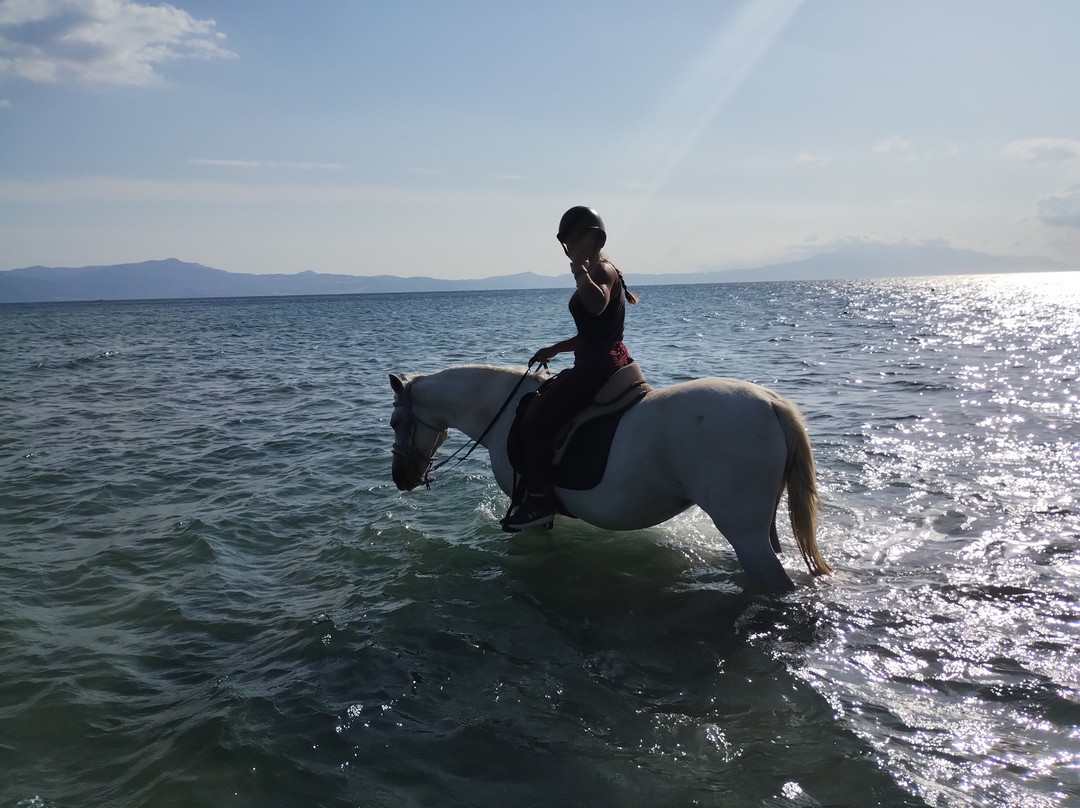 Darko World Horse Riding-Livanates必去景点