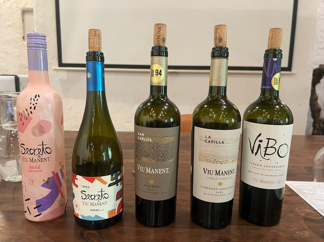 Viu Manent-圣克鲁斯必去景点