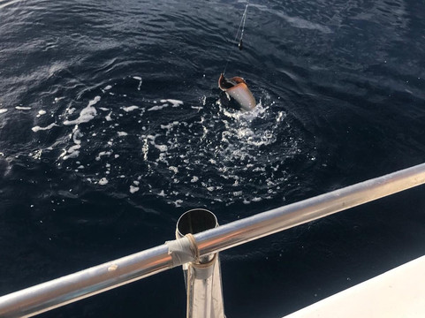 Pepe Boat Fishing Lanzarote-卡拉罗港口必去景点