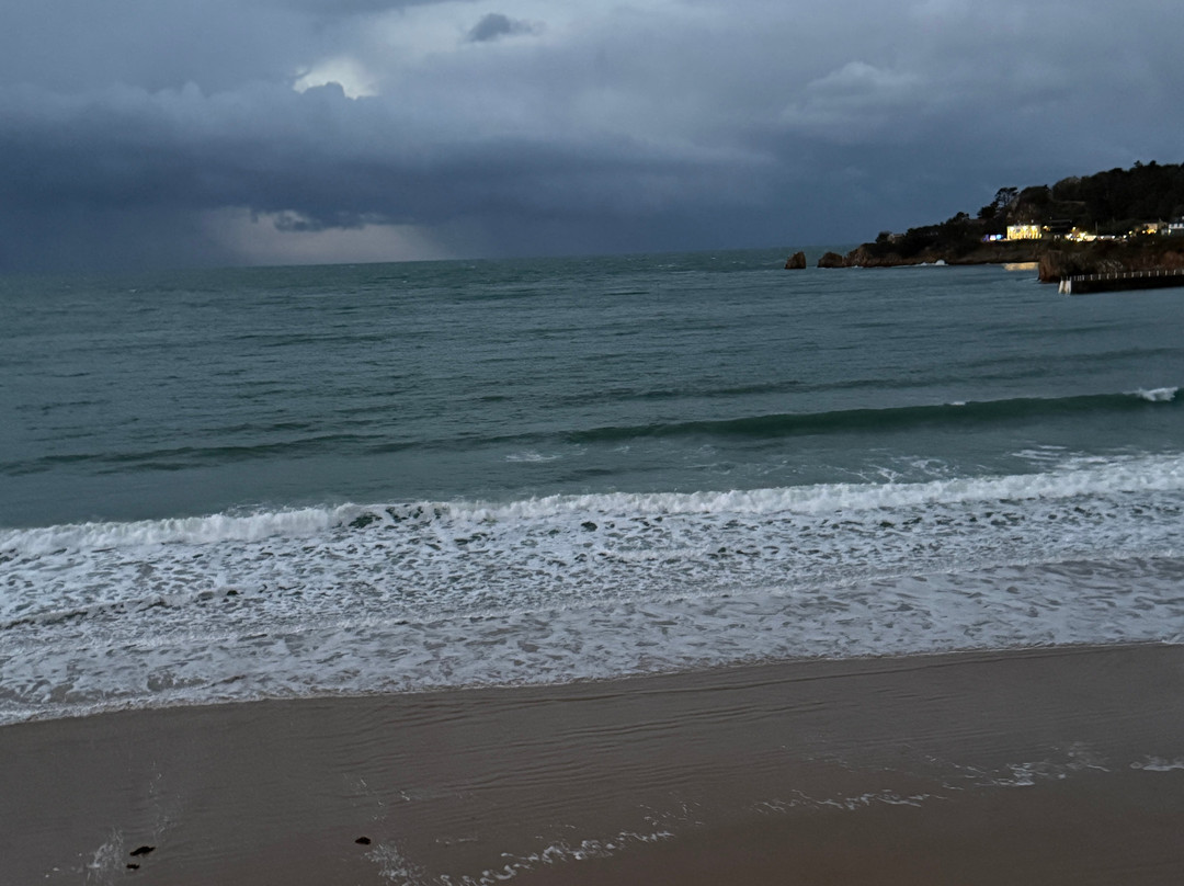 The Golden Sands主图