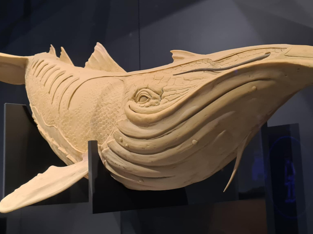 Het Noordbrabants Museum-斯海尔托亨博斯必去景点