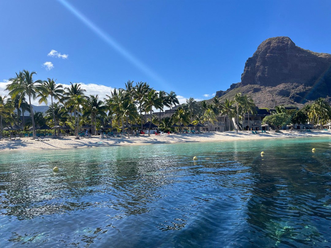 Vitamin Sea™-Black River必去景点