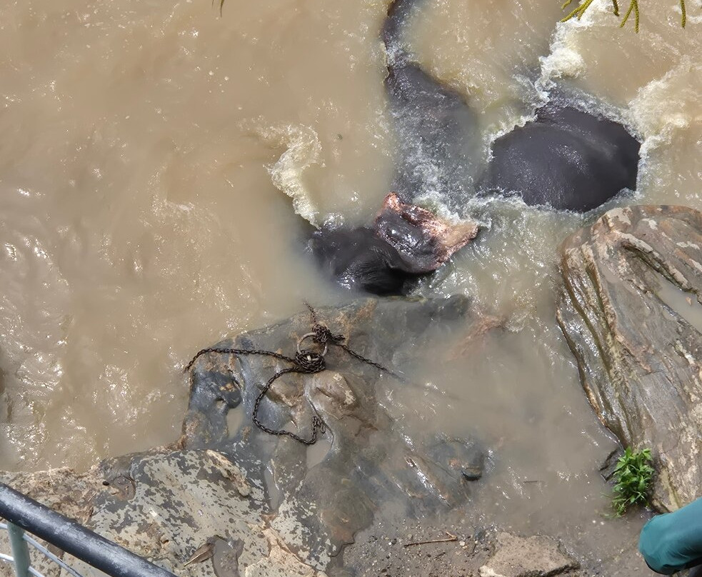 大象公园酒店主图