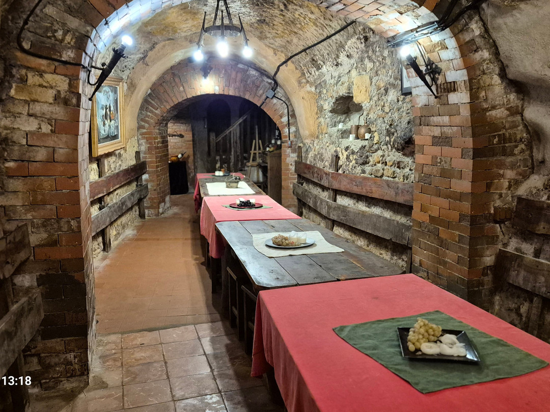 Don Carlos Bodega Historica-杜罗河畔阿兰达必去景点