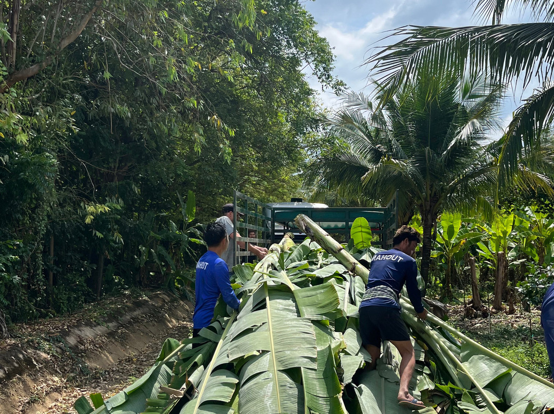 Somboon Legacy Foundation-Klon Do必去景点