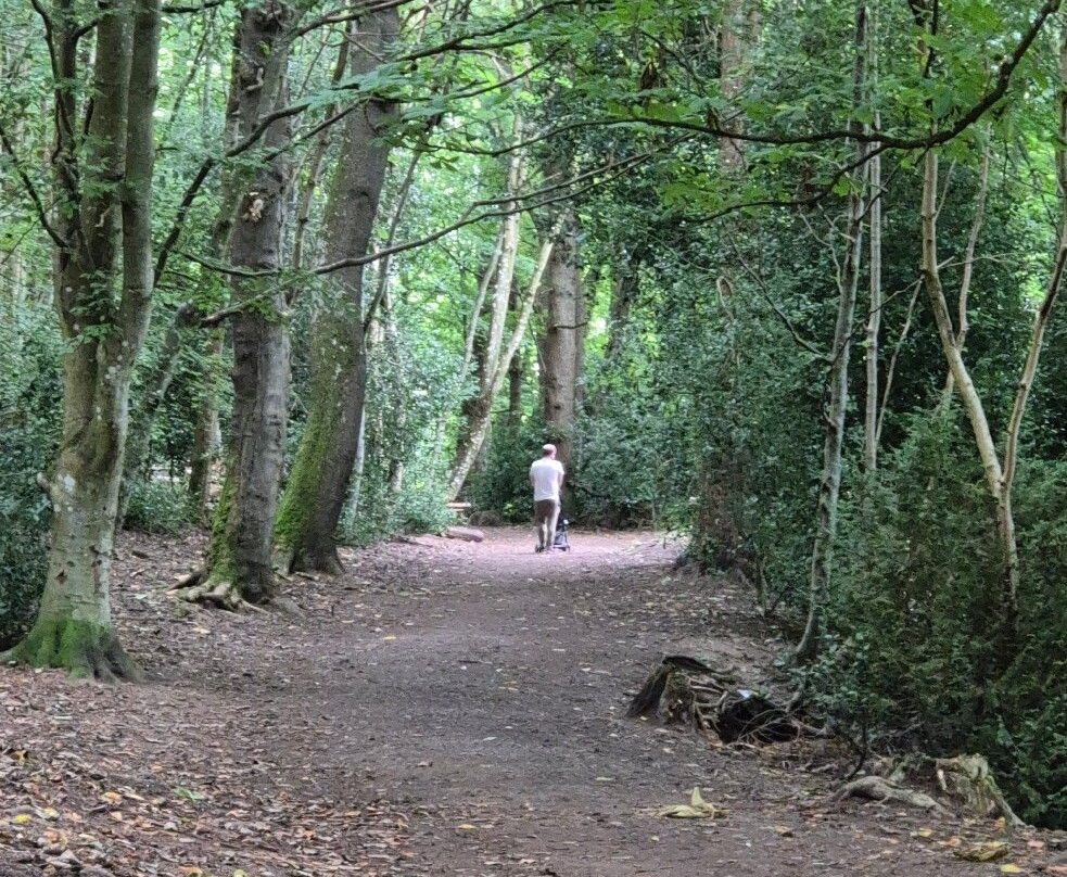 Gala Policies Community Woodland-Galashiels必去景点