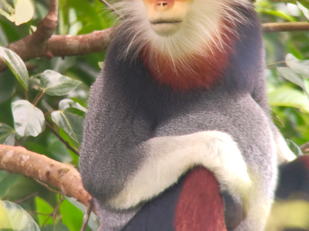 Vietnam Eco-Tours-岘港必去景点