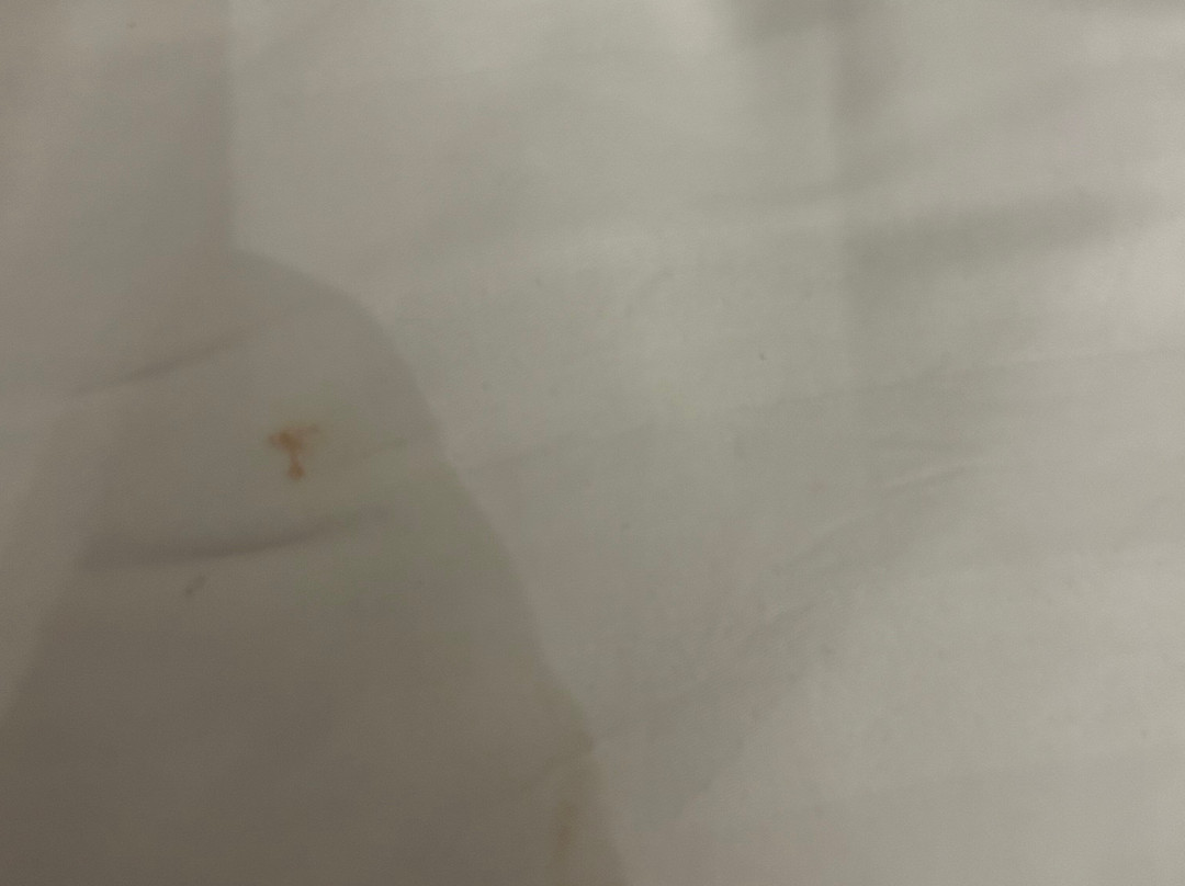 Ruthin Castle Hotel主图