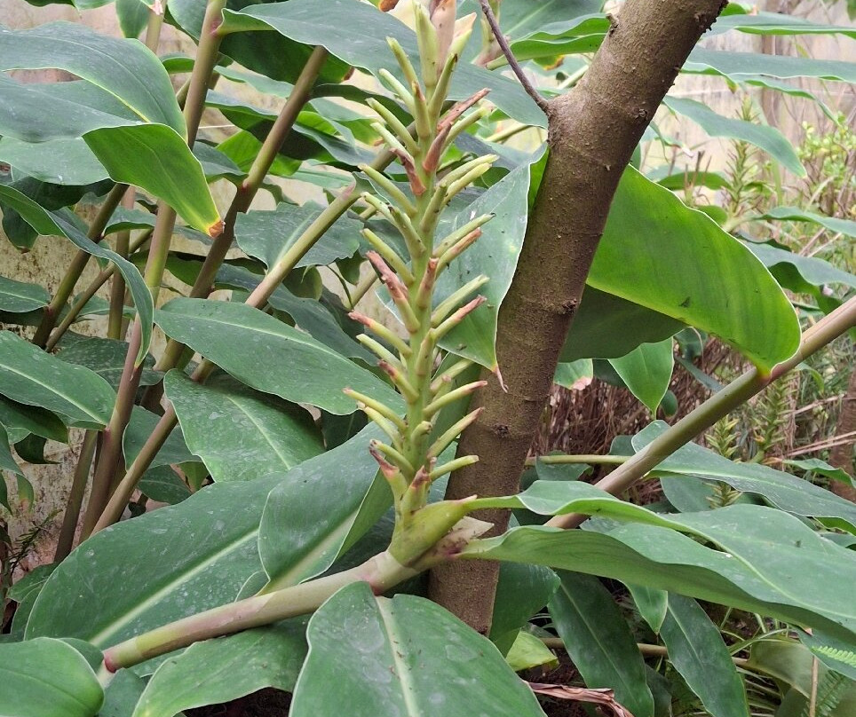 Palmeraie du Sarthou-Betous必去景点