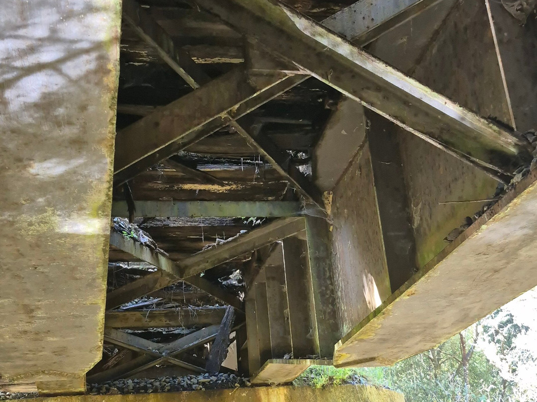 Railtrack Riders-Maydena必去景点