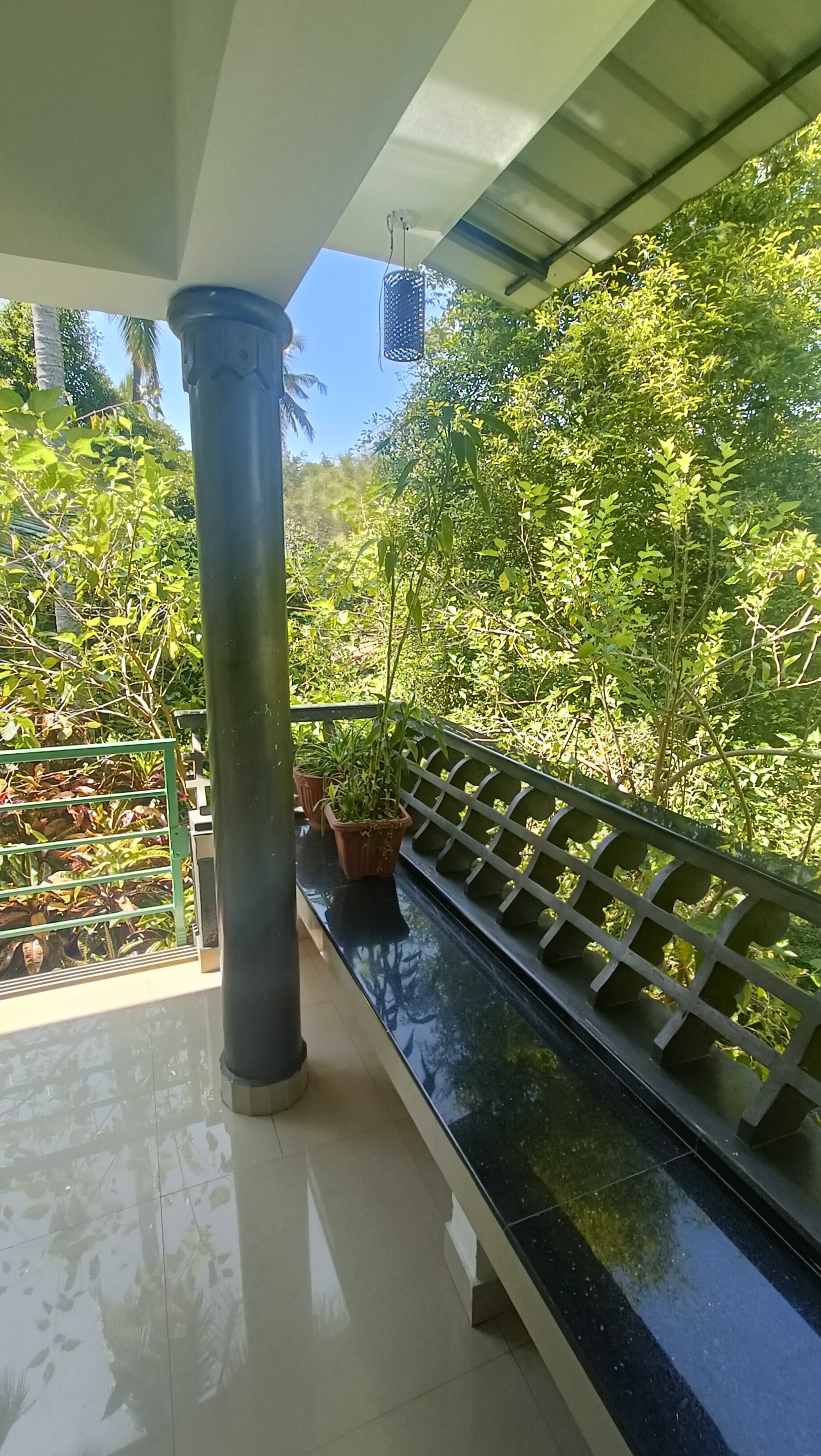 Jungle Bird Homestay-酒店景观