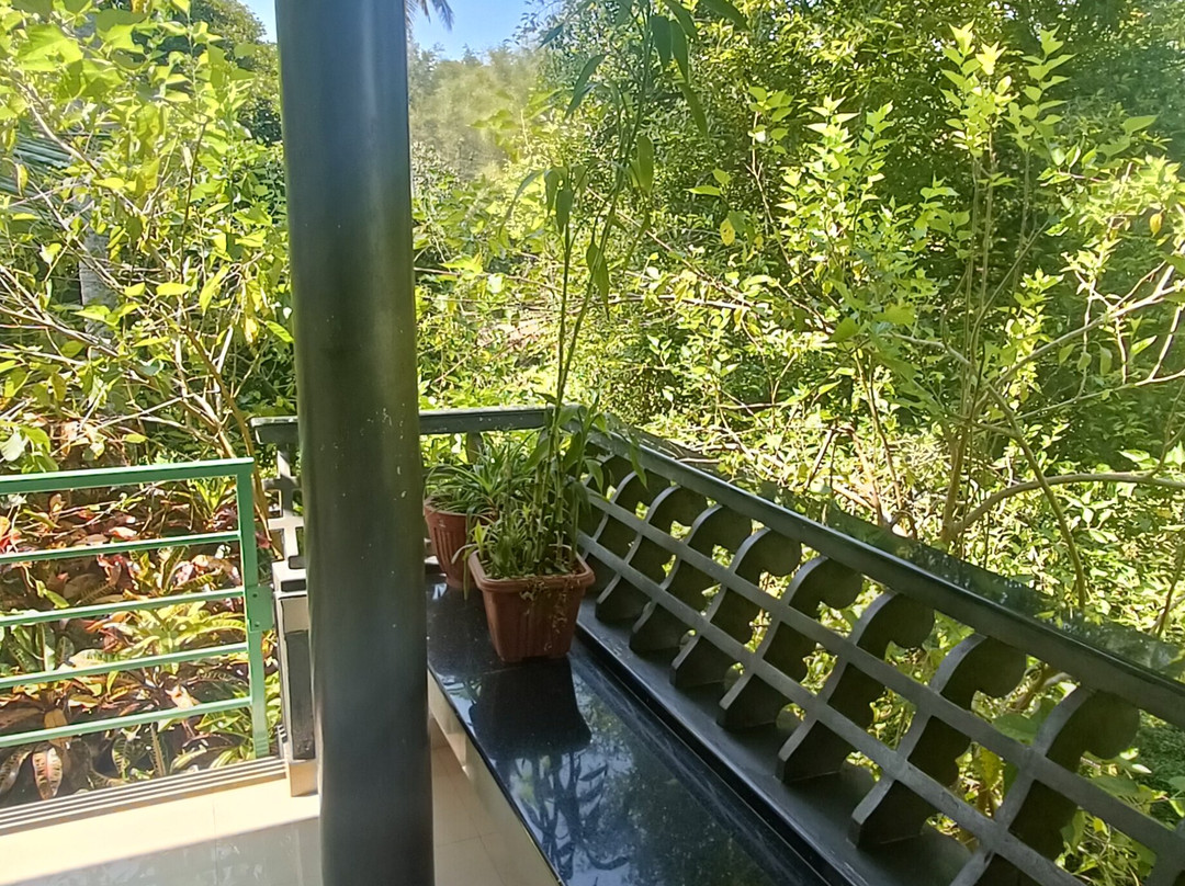 Jungle Bird Homestay主图