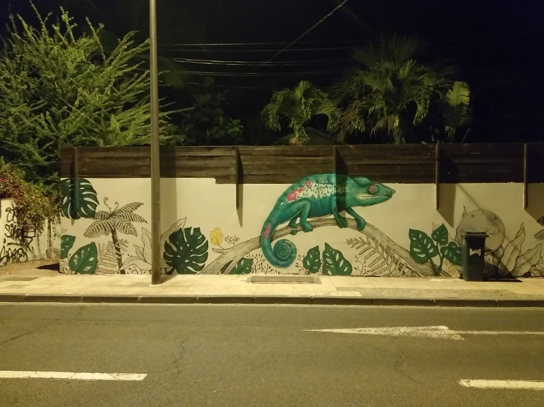 Plage De La Saline les Bains-拉萨里讷雷班必去景点