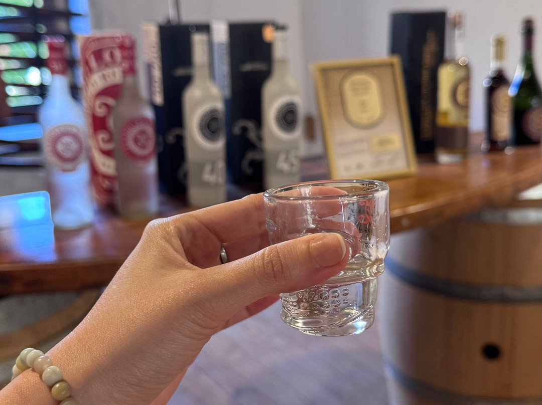 Fundo Los Nichos-Pisco Elqui必去景点