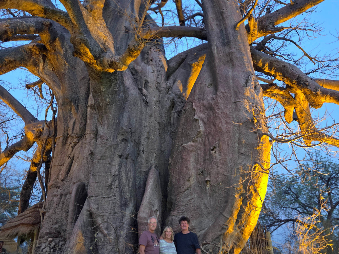 Africa's Best Adventures-开普敦必去景点