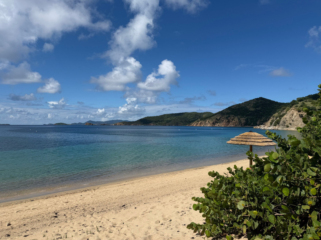 Peter Island Resort主图